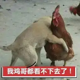  又吃狗又骂狗,狗狗到底招谁惹谁了