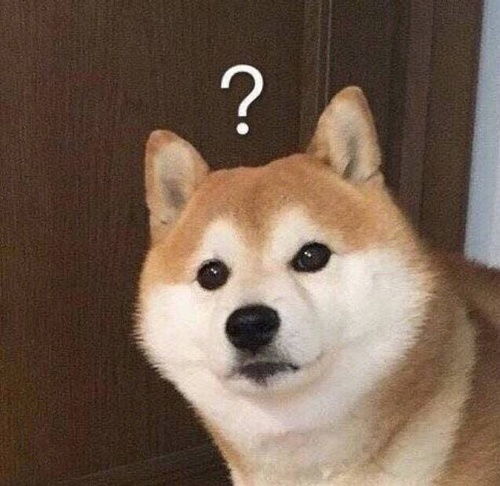 微信头像用什么图像最好