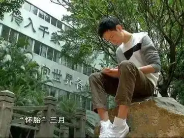  疯狂的表情包1万个人用,只有1个人愿掏钱