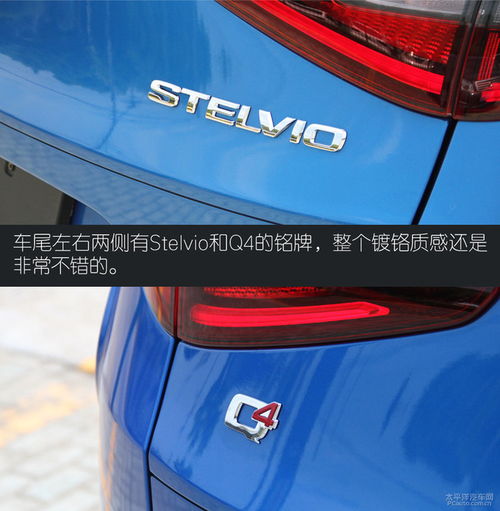 可以用四叶草当头像吗阿