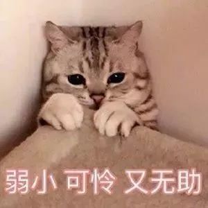  我清华博士,儿子年年倒数第一不出意外,你孩子终将平凡