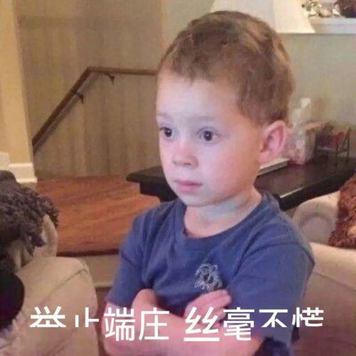  冻哭了最低温8枣庄一夜入冬更扎心的是