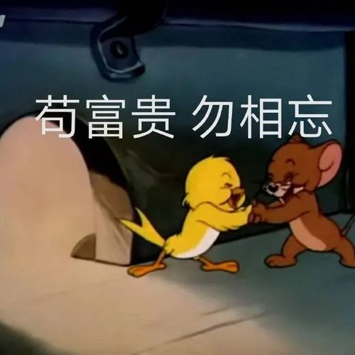 睡不着的图片表情包晚安