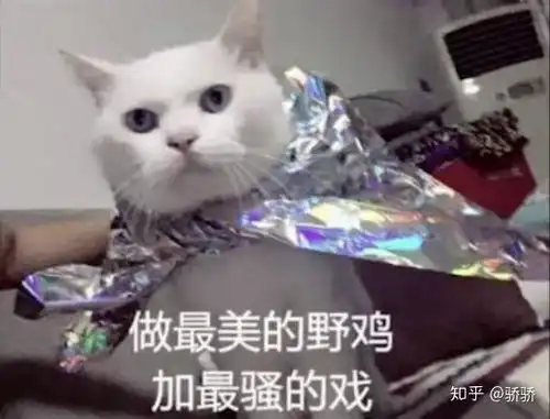  每个人的身边都会有一个叫龙哥的人,那么你身边的龙哥是什么样的呀