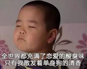  秘籍情人节防分手全攻略来了,你不认真看就别怪我没提醒你们了