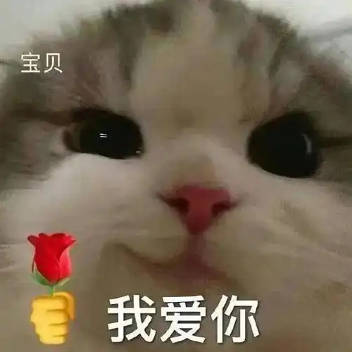  情人节表情包