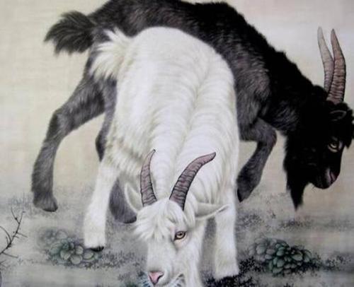  11月生肖羊出人头地,尤其是79年的