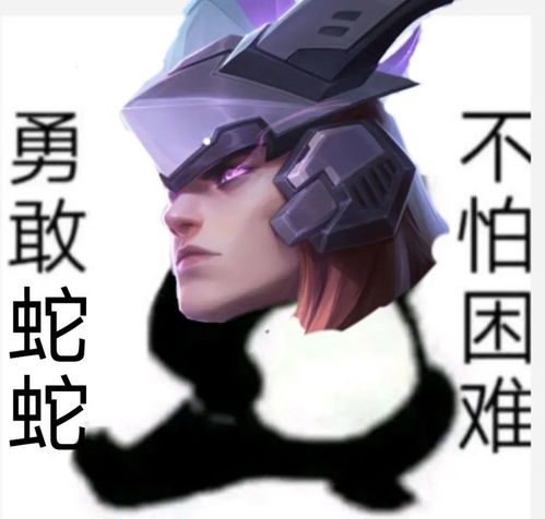  表情包勇敢信信,坚守高地