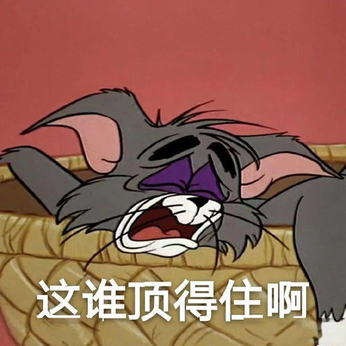  今日份沙雕表情