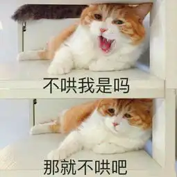  近期热门表情包,你都有了吗