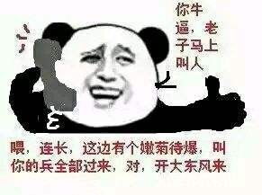 金馆长熊猫表情包无字家
