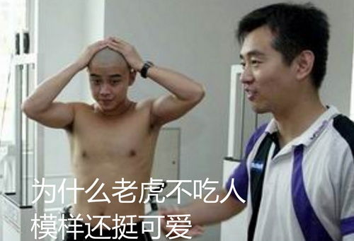  胖胖球表情包又名胖胖舞蹈队持更