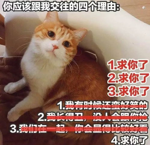  总结一下我的2017,多少人和我一样