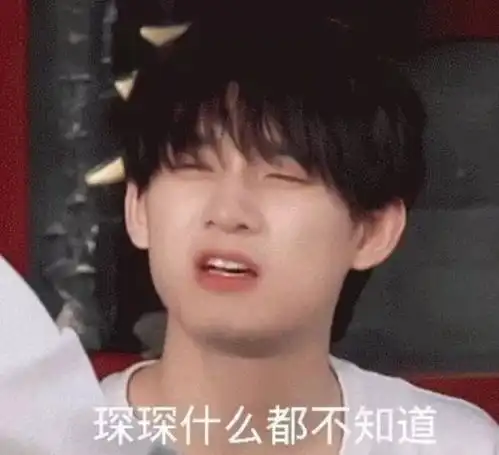  r1sexql别踹柜门了