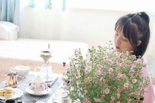  5种幸运花,要从小苗开始养,划算不说,还成就感满满