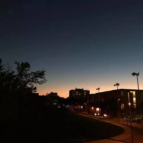  如何评价美国杜兰大学美国杜兰大学怎么样