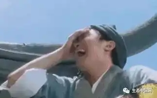 表情包遇上打脸狂原型