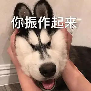  今日份沙雕表情包多喝热水少发骚