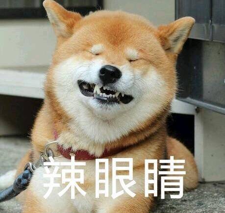 表情包是秋田还是柴犬你