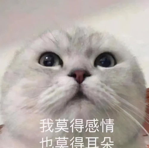  碧瑶传下求而不得错过真爱被基友算计变恋人的当红小生