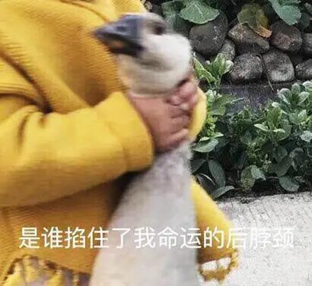  为了相亲早结束,相亲对象把她对象都带来了