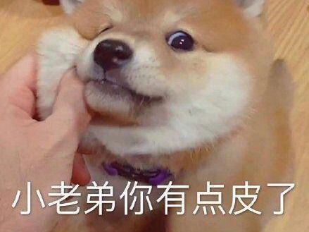  笑到劈叉,你的快递被什么硬核方式签收过沙雕网友人生太难了