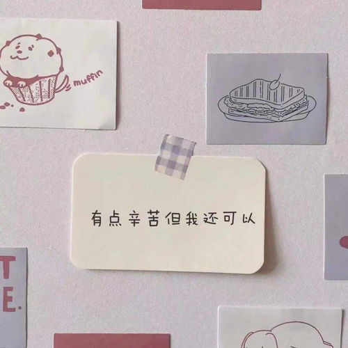  头像背景丨盐于律己甜以待人