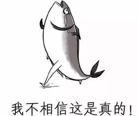  昆明站至昆明南站试跑动车,主城将也能坐高铁