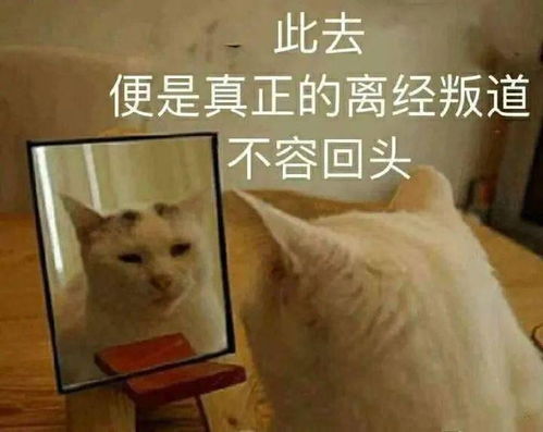  今日表情推荐,1215