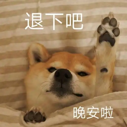  大懒x小懒的相册哈哈哈表情包