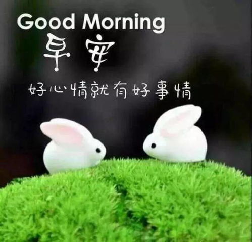  微信漂亮的早安心语经典一句话,最美的早上好问候语