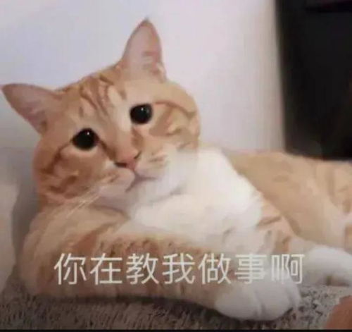  微信又上热搜了,我们再来愉快地吐槽它吧