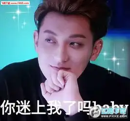  谢晓飞表情包高清无水印版下载飞翔下载