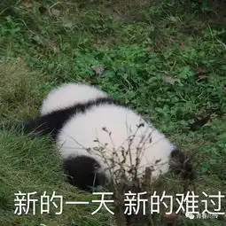  川传青年说把室友拿出来晒晒