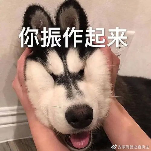  快过年了,钱包捂紧这种诈骗手法还有人上当