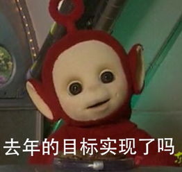  年底了做个小小小的采访