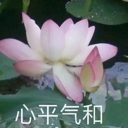  秋冬保养大法从头到脚都要精致呀
