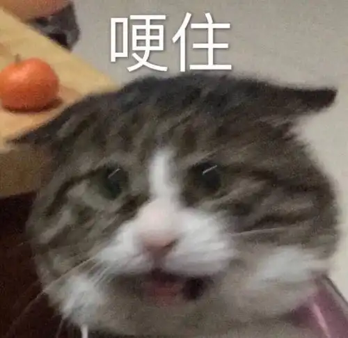  1收藏夹
