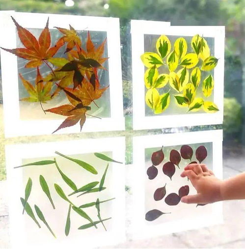  秋天来啦,用18种创意diy,尽情探索大自然的美和奥秘