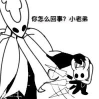  空洞骑士表情包3