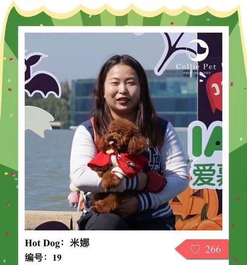  人气最旺的幸运汪选美大赛的大奖在召唤你