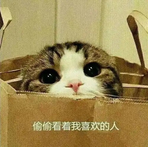  有哪些适合在撒娇时使用的表情包