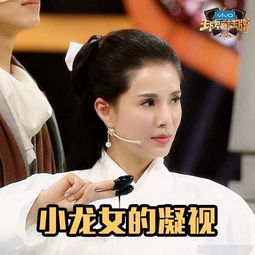  王牌对王牌舒畅杨若彤再现经典,表情包走红