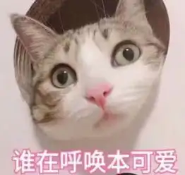  ins情侣专属的喵咪卖萌表情包,请问谁在呼唤本可爱