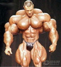  乐风社区图片集锦