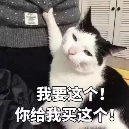 打滚表情包猫猫大合集