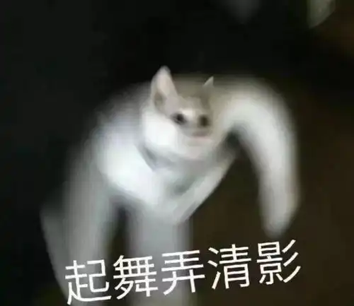  放射能nengnight来演出和看演出的人都是真有能耐