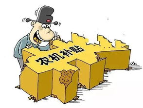  胆大包天骗取国家农业补贴13万元,获刑4年