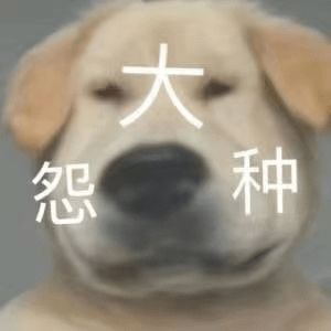  又一个世纪婚礼被曝塌房网友崩溃啊啊啊求你别锤了