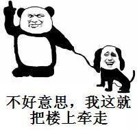 你懂个锤子表情包